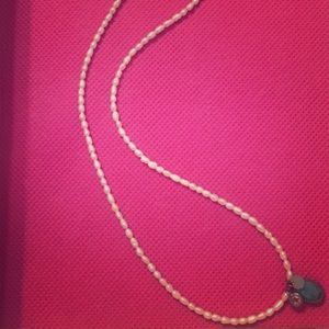 Mother of pearl and turquoise necklace